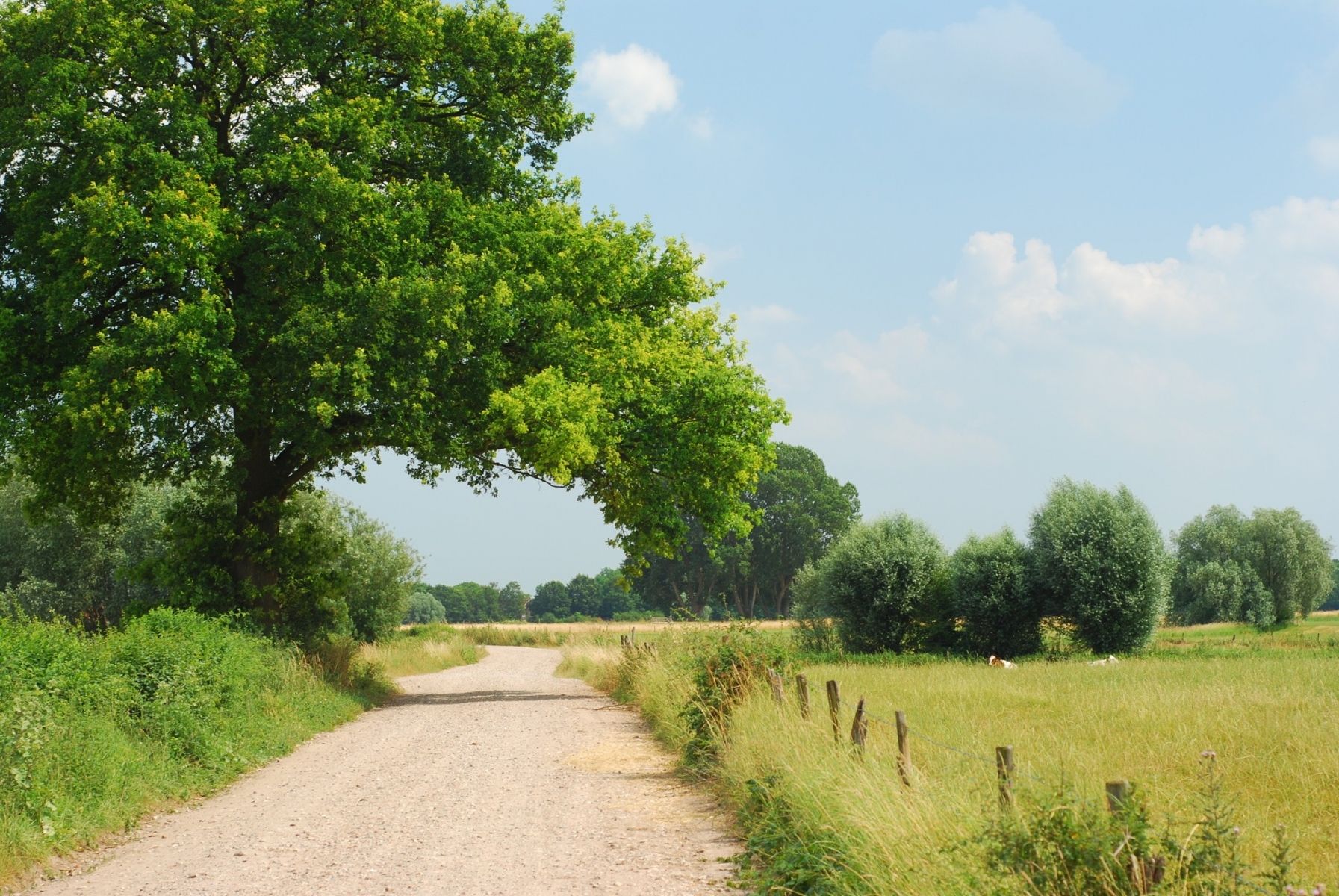 Omgeving