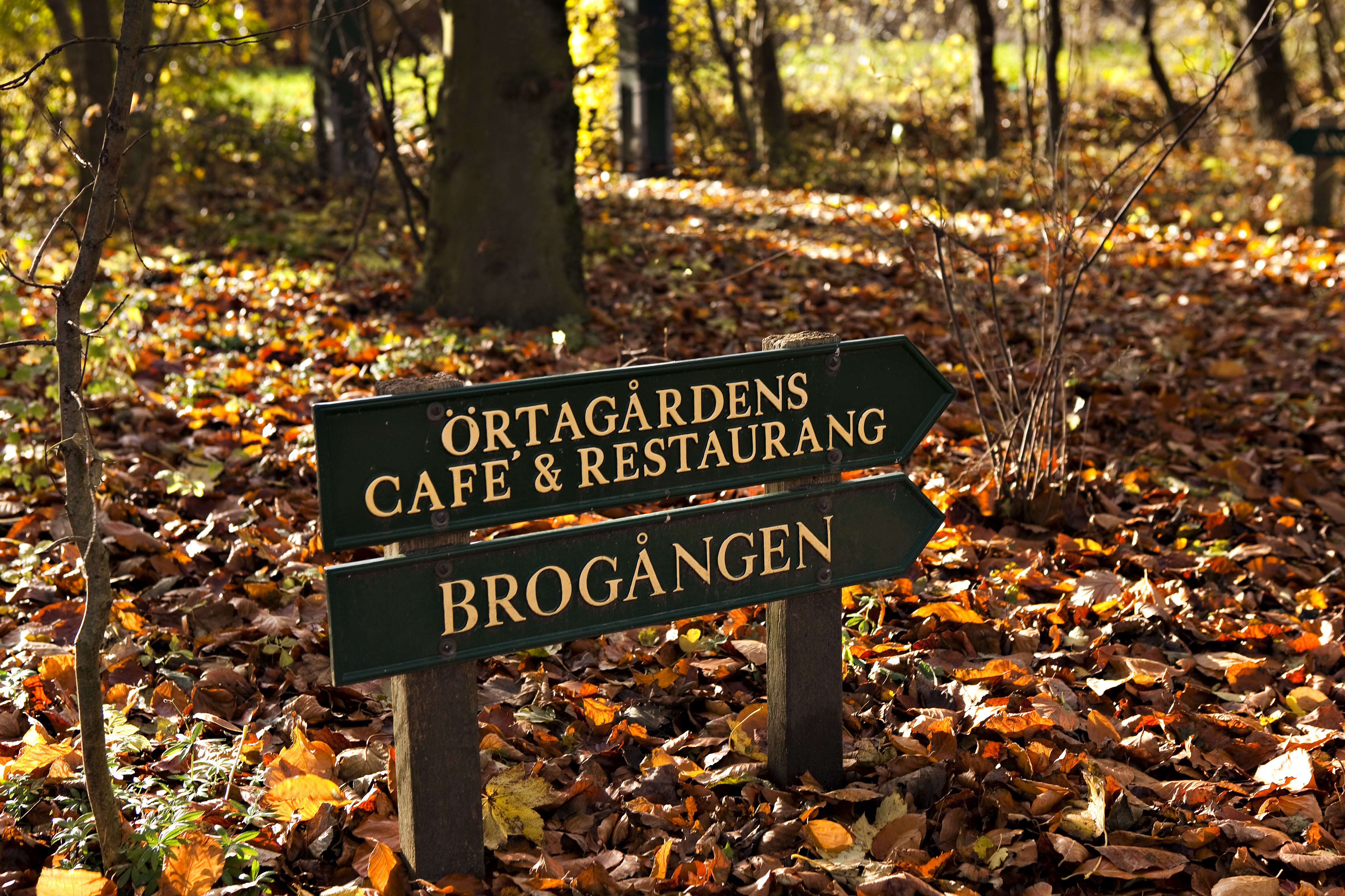Omgeving