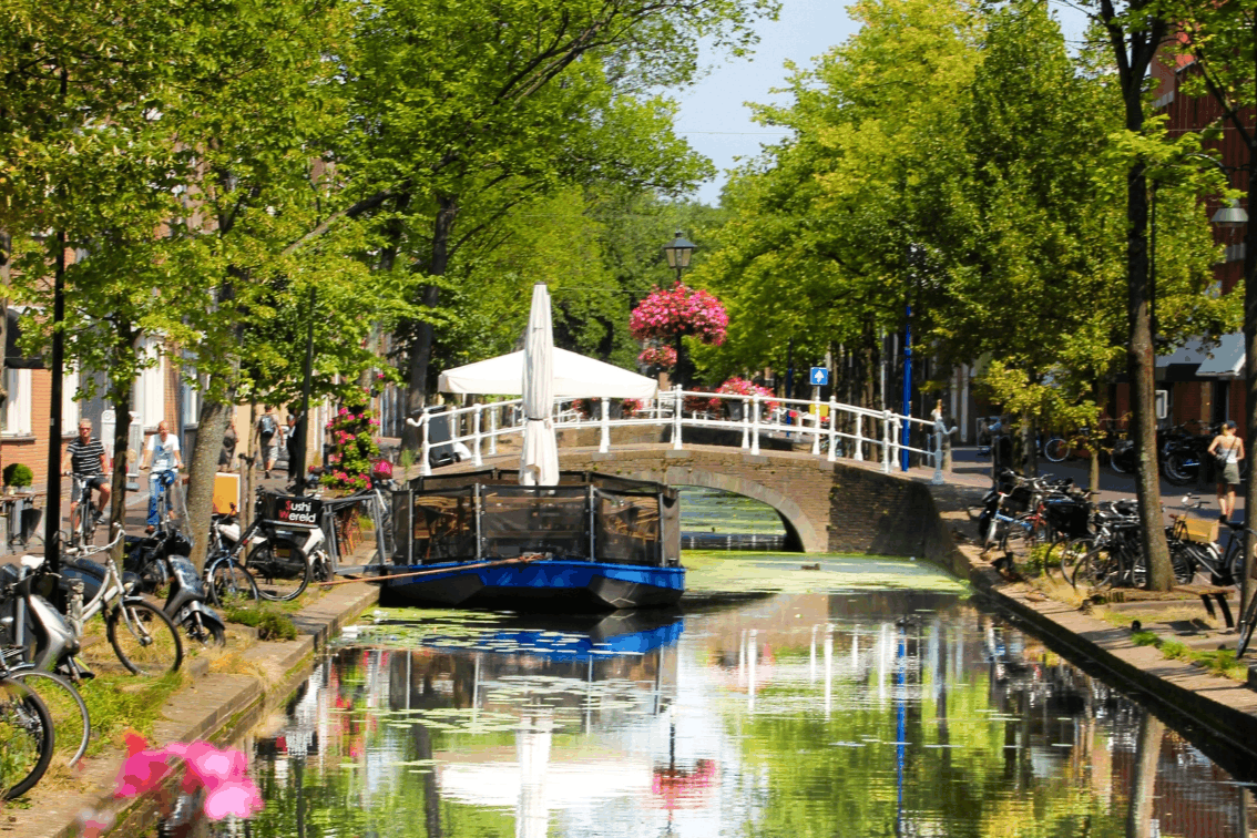 Omgeving