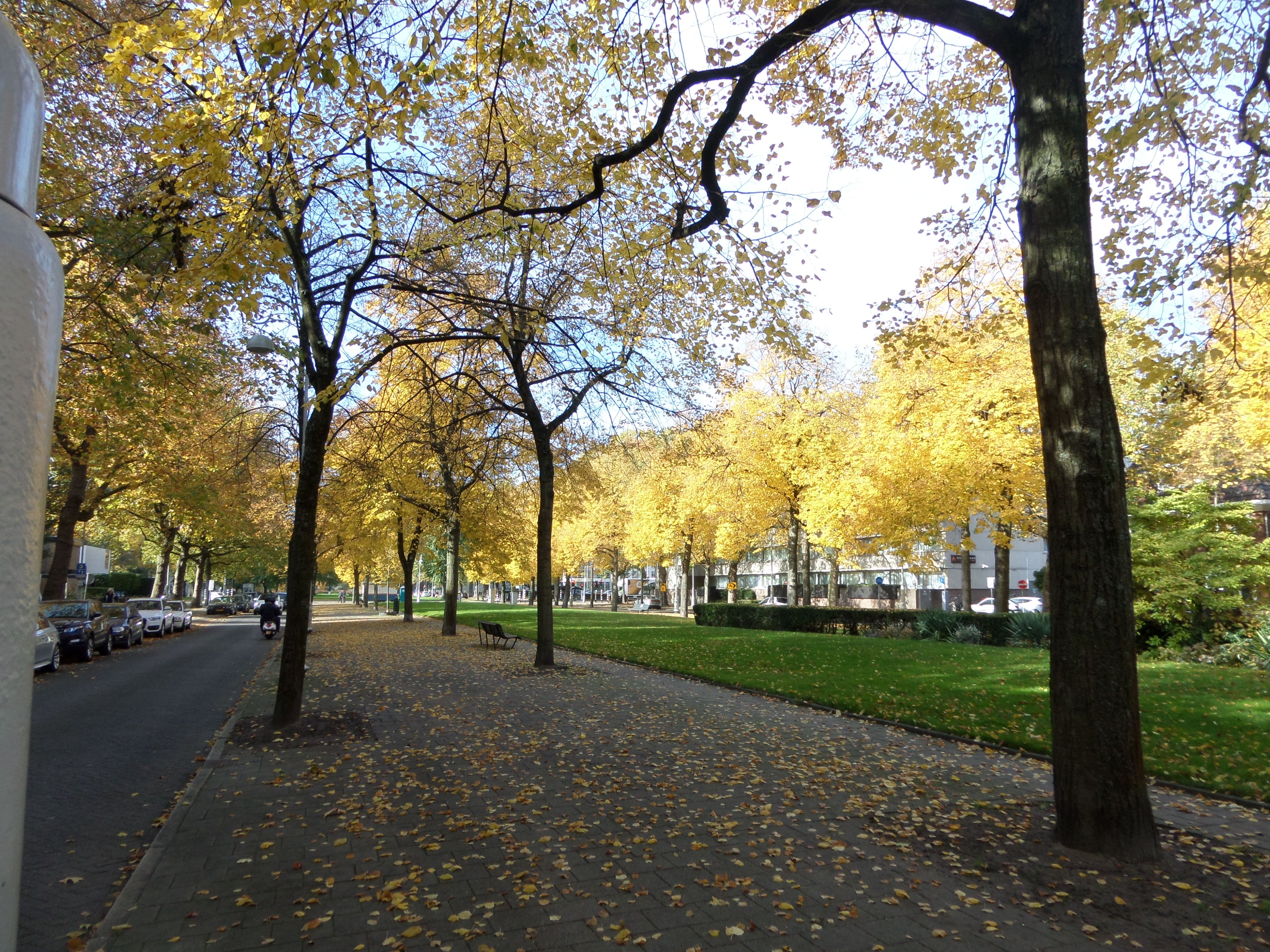 Omgeving