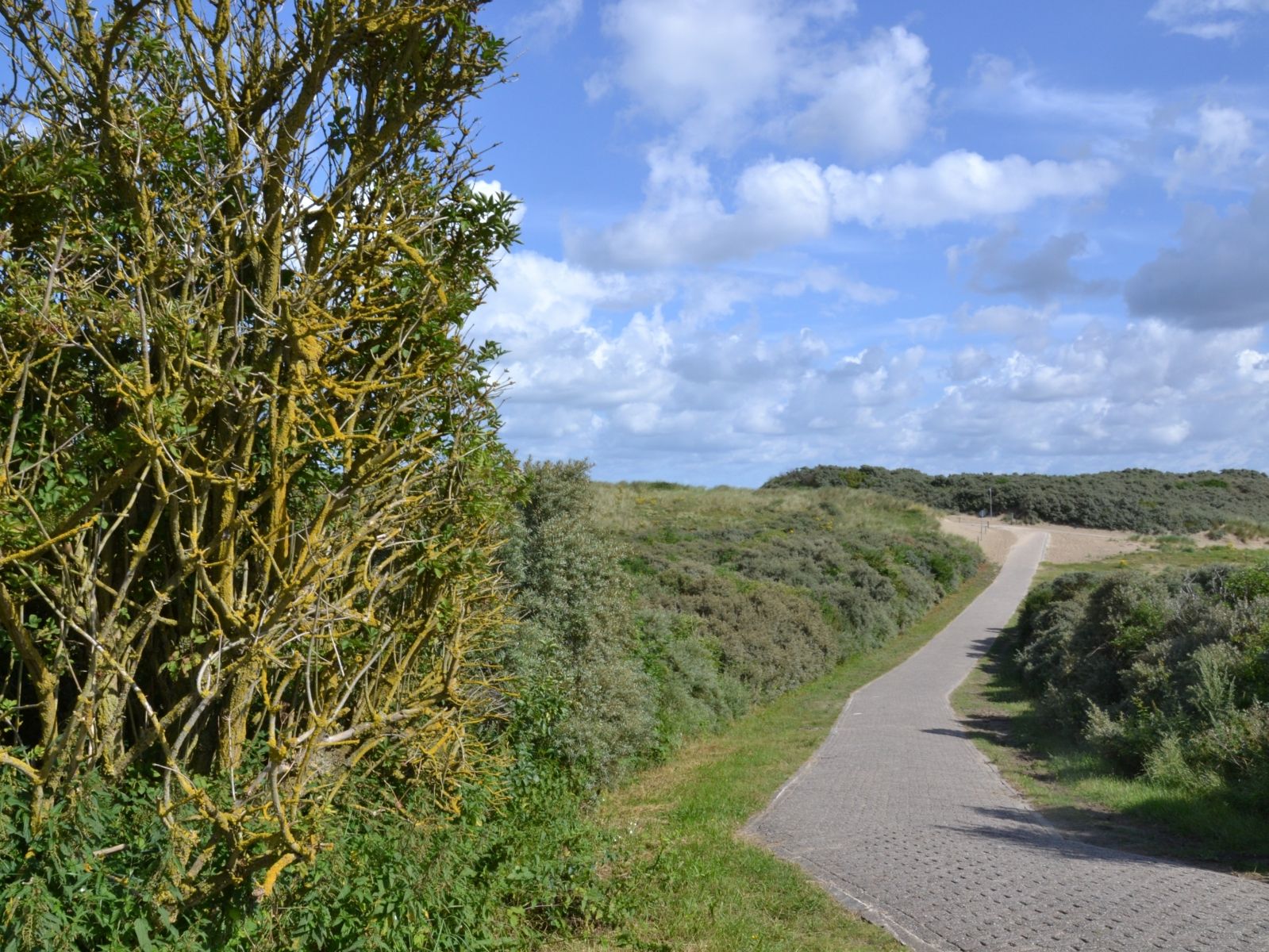 Omgeving