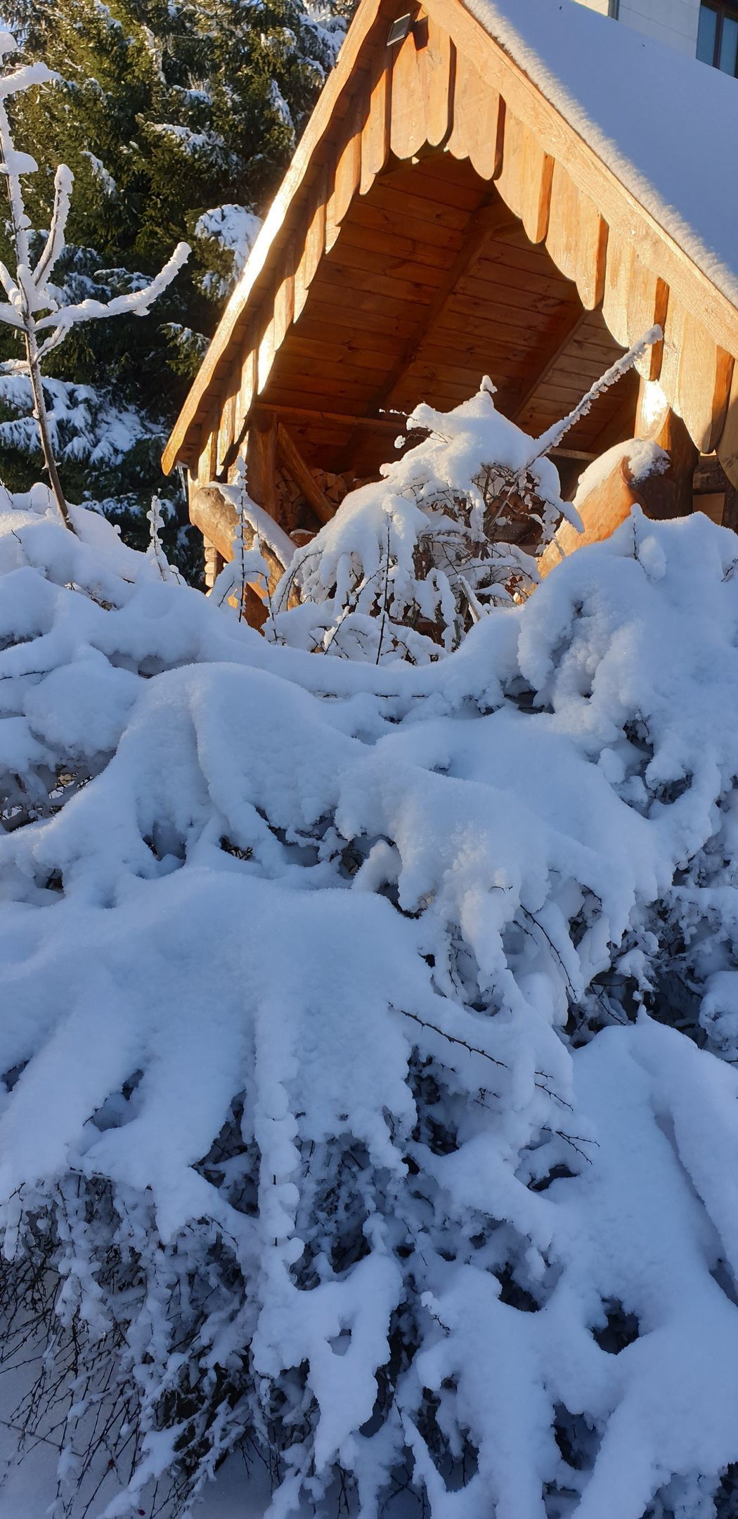 Overig