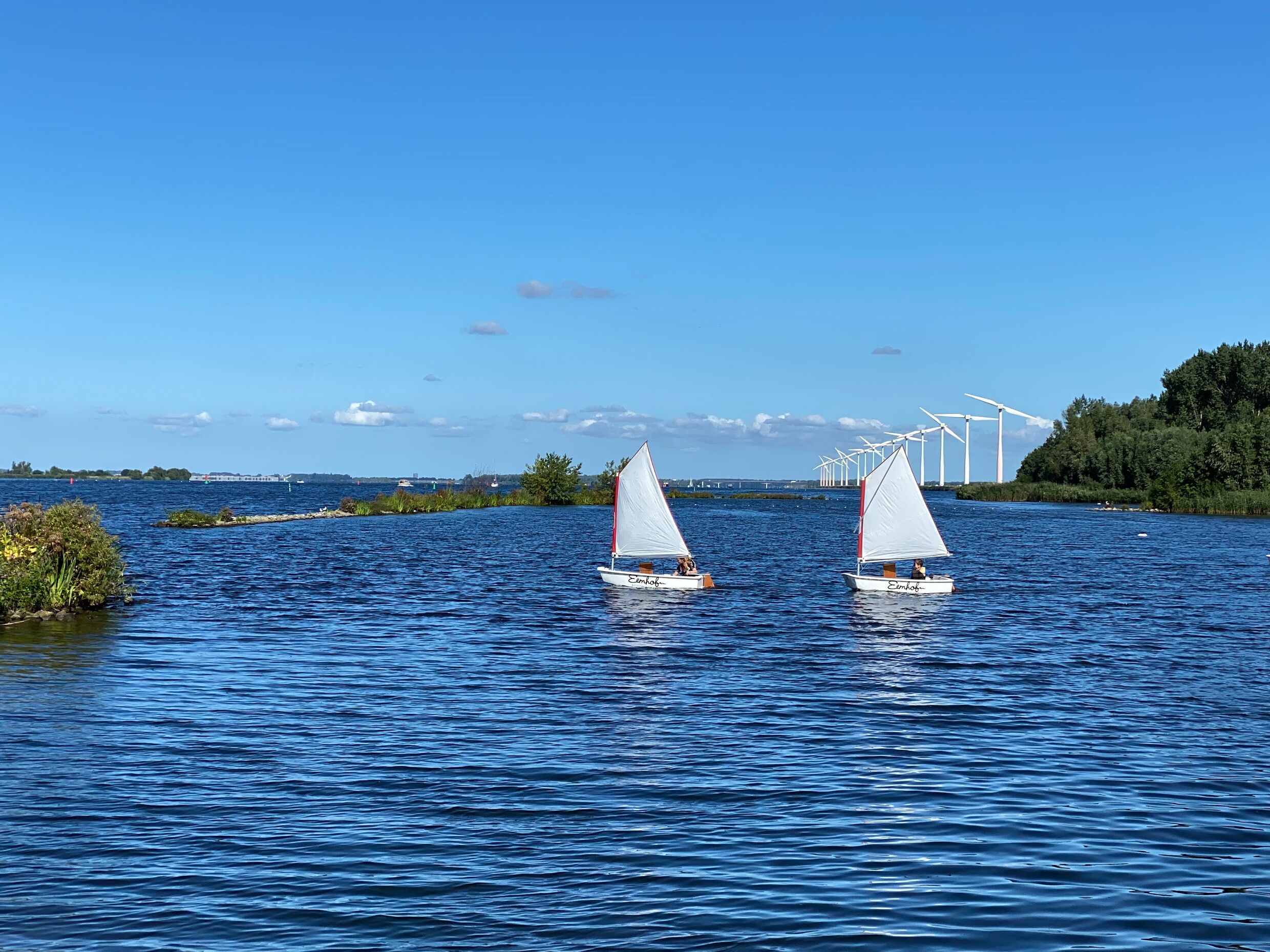 Omgeving