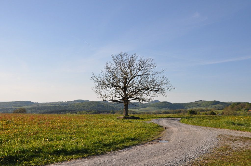 Omgeving
