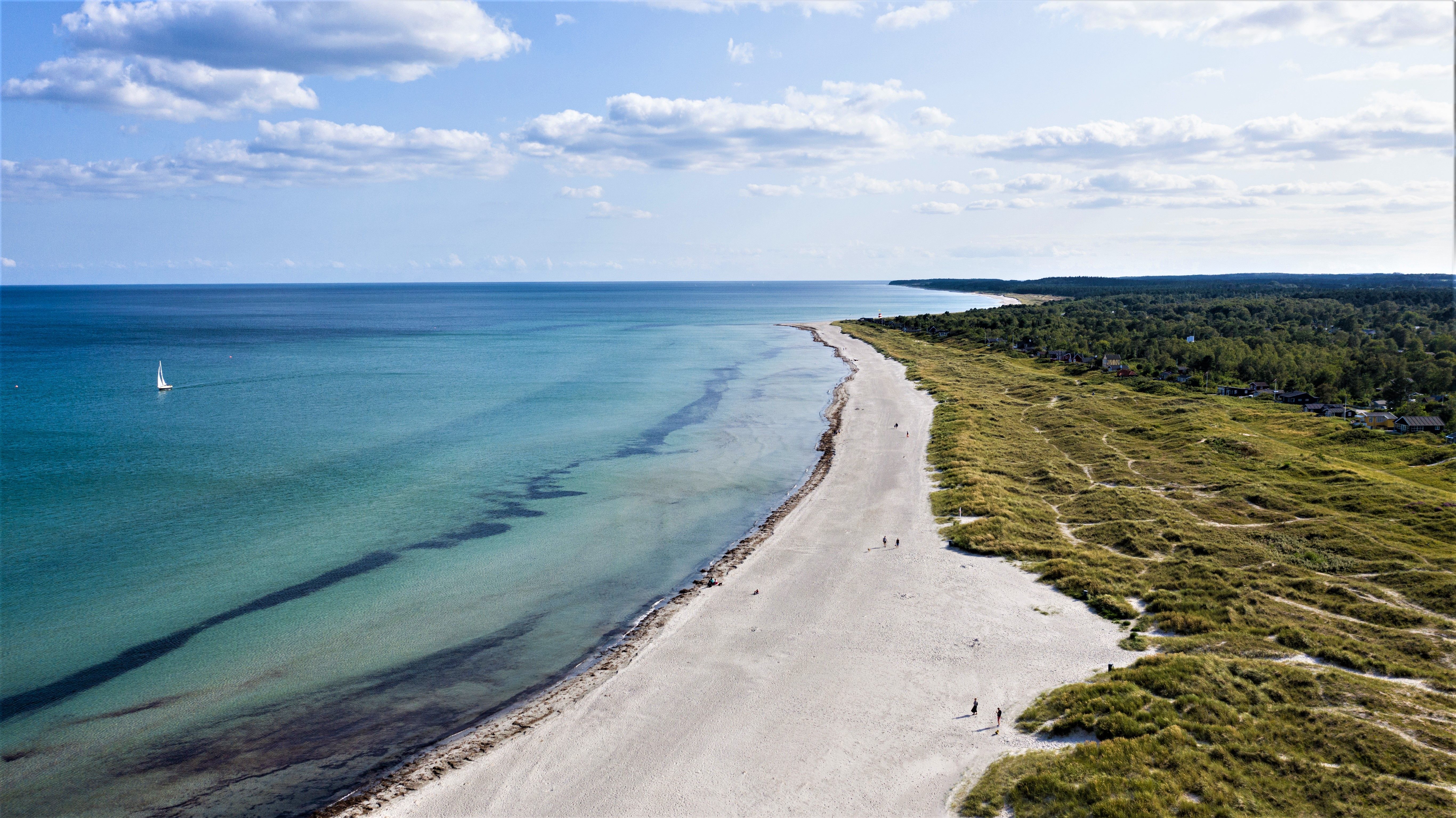 Omgeving