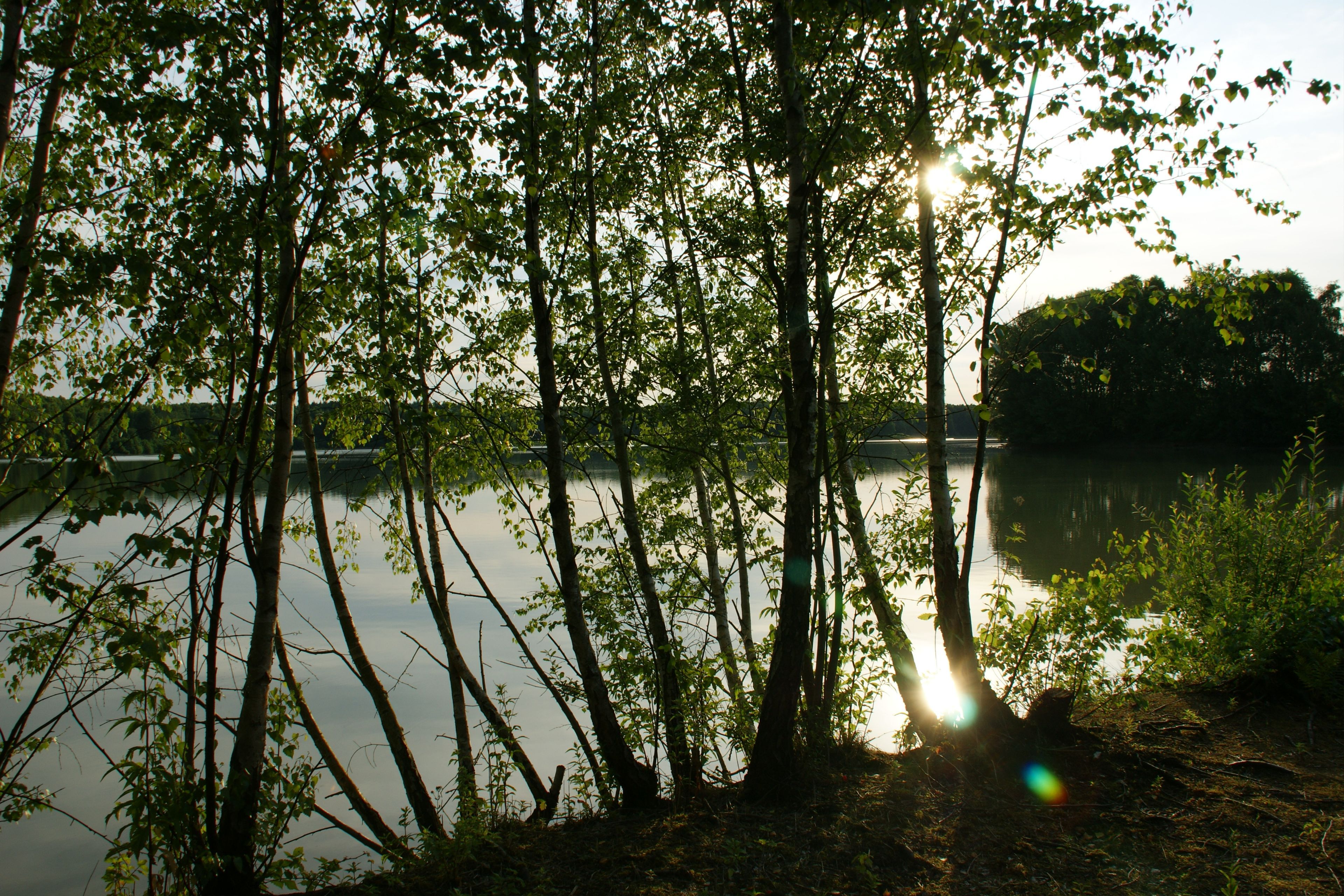 Omgeving