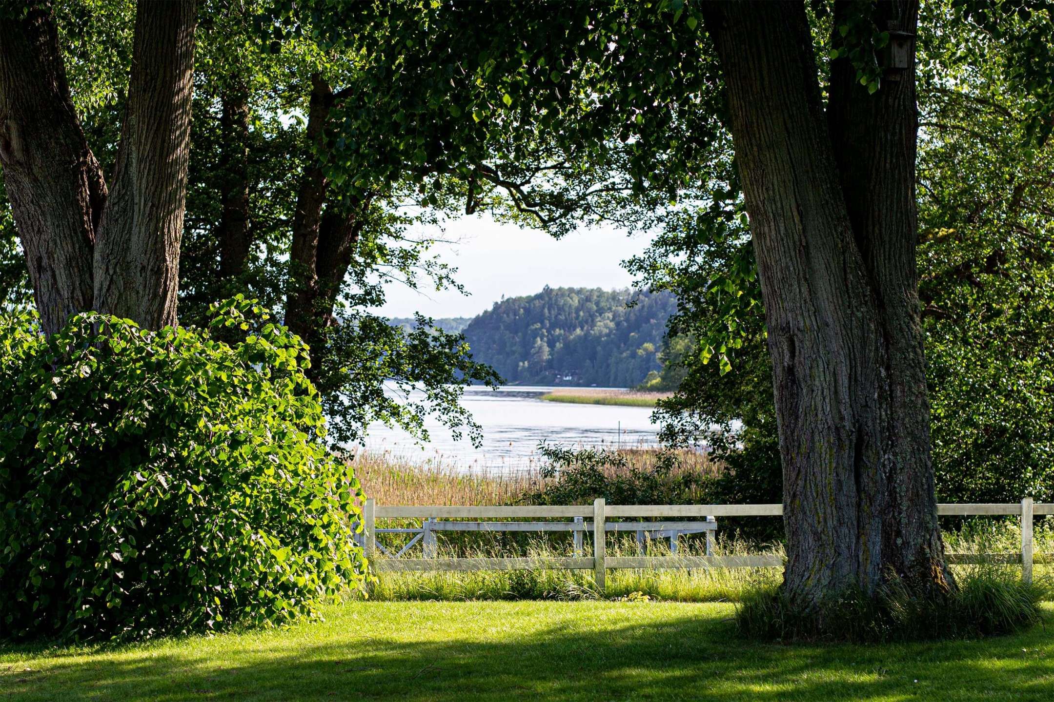 Omgeving