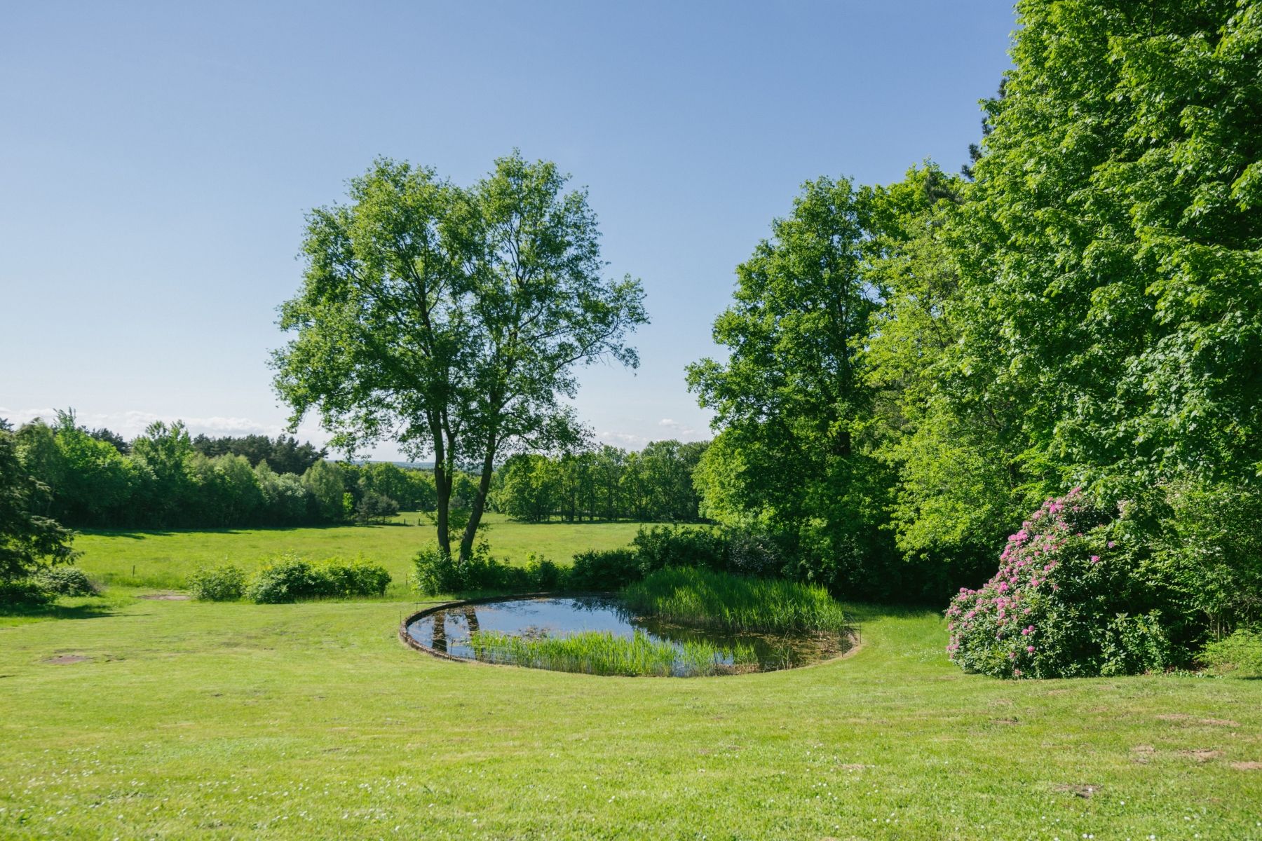 Omgeving