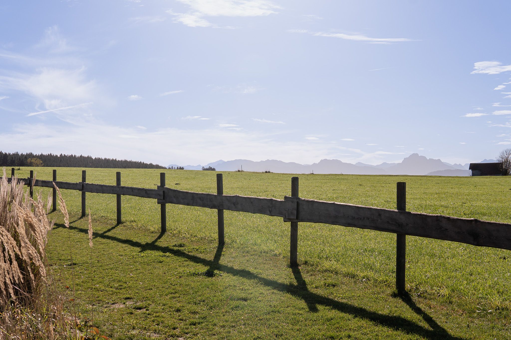 Omgeving