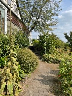 Omgeving