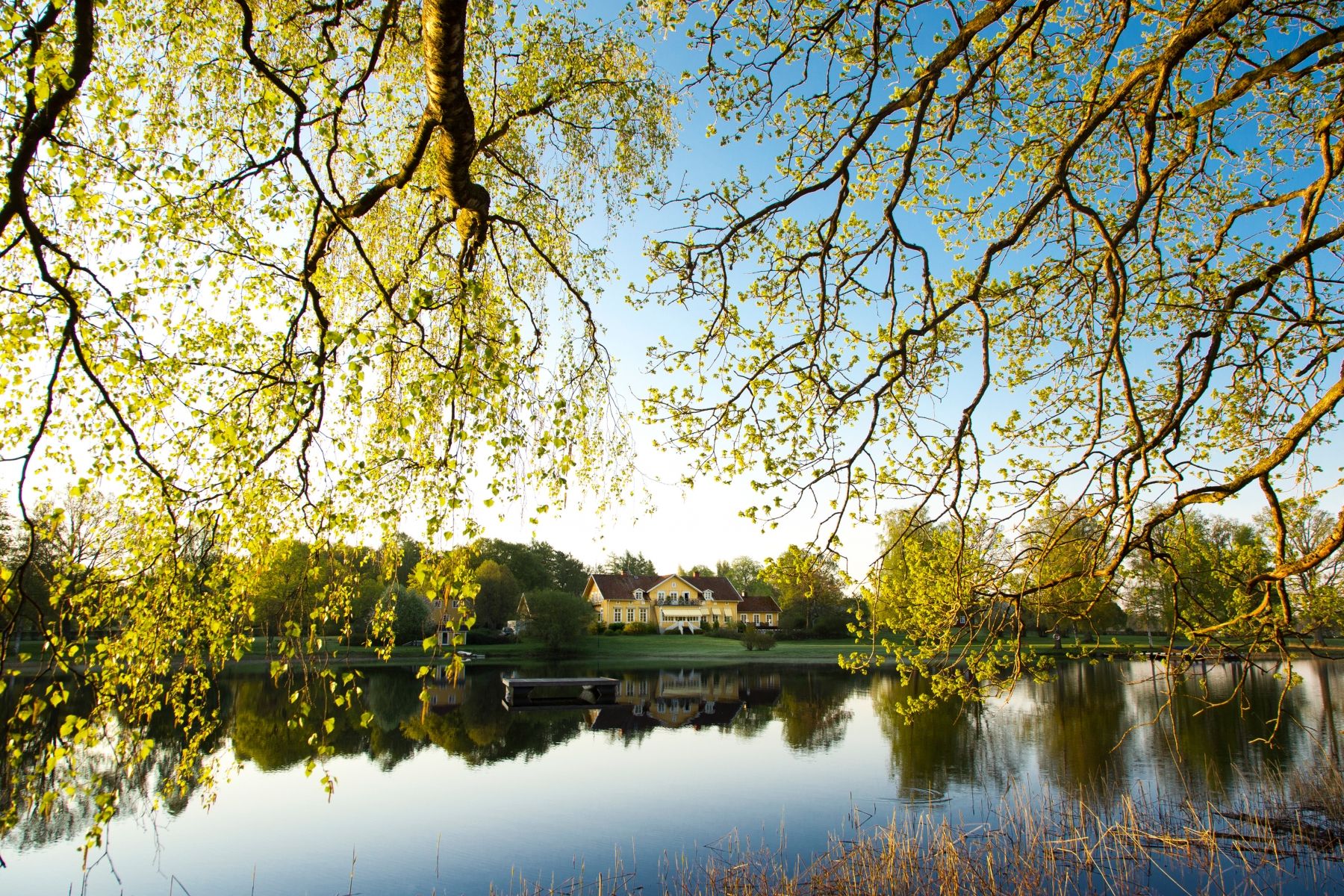 Omgeving