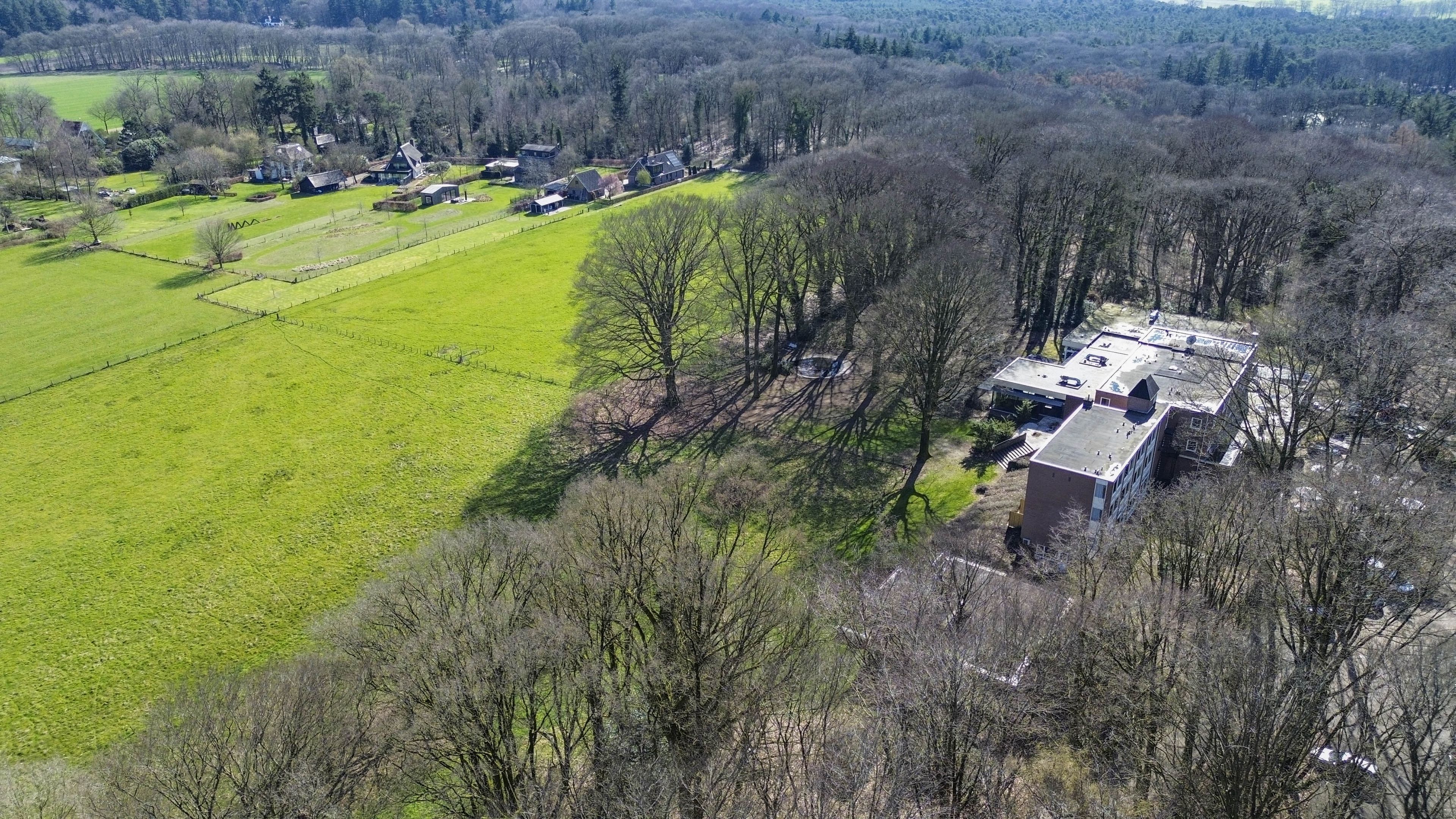 Omgeving