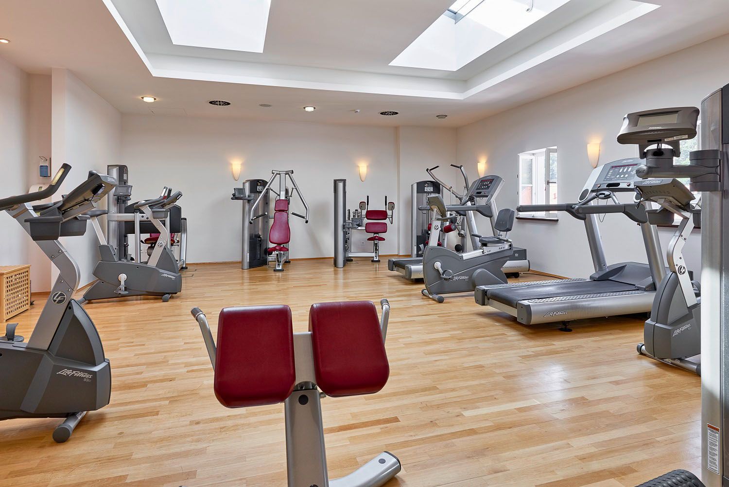 Wellness