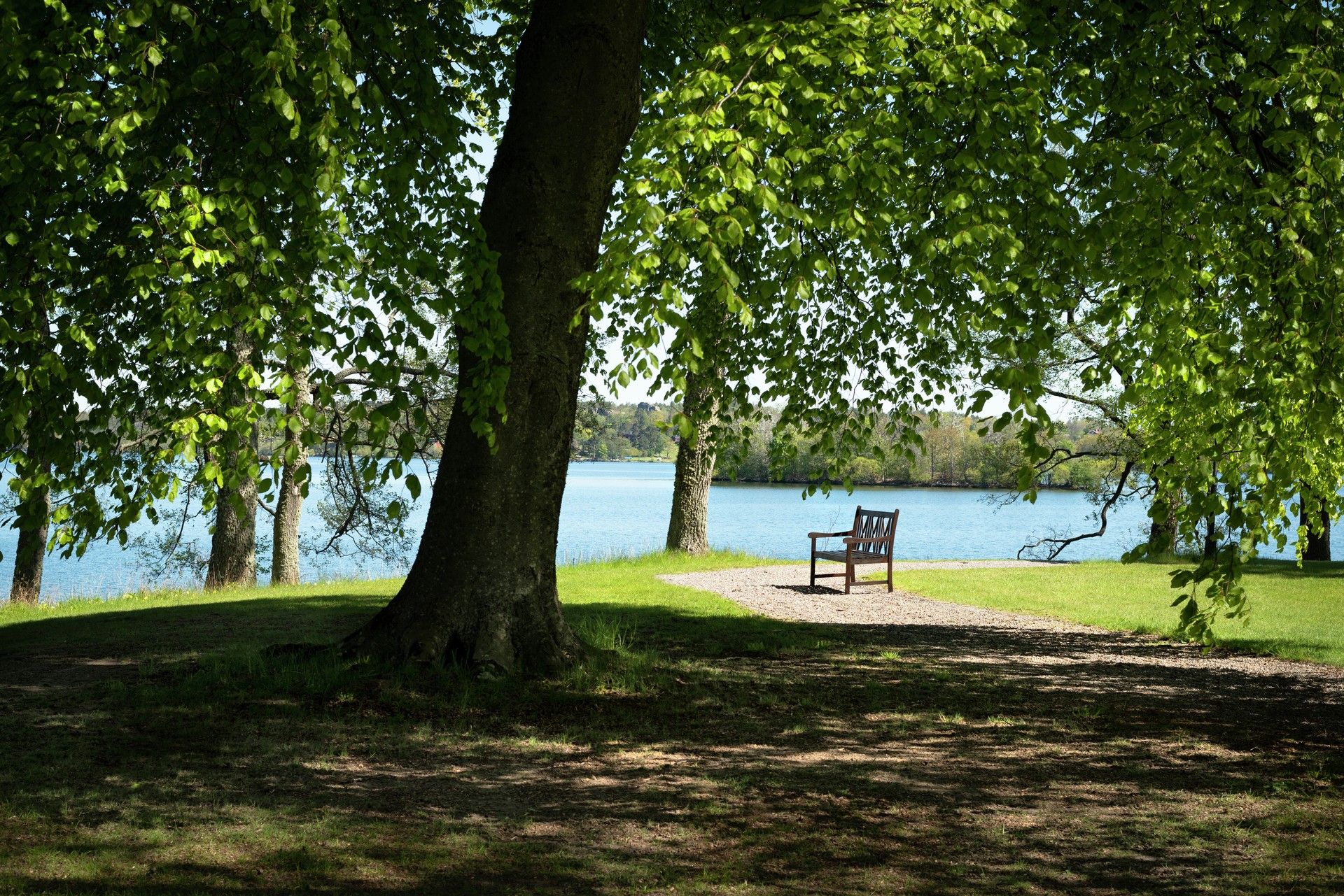 Omgeving