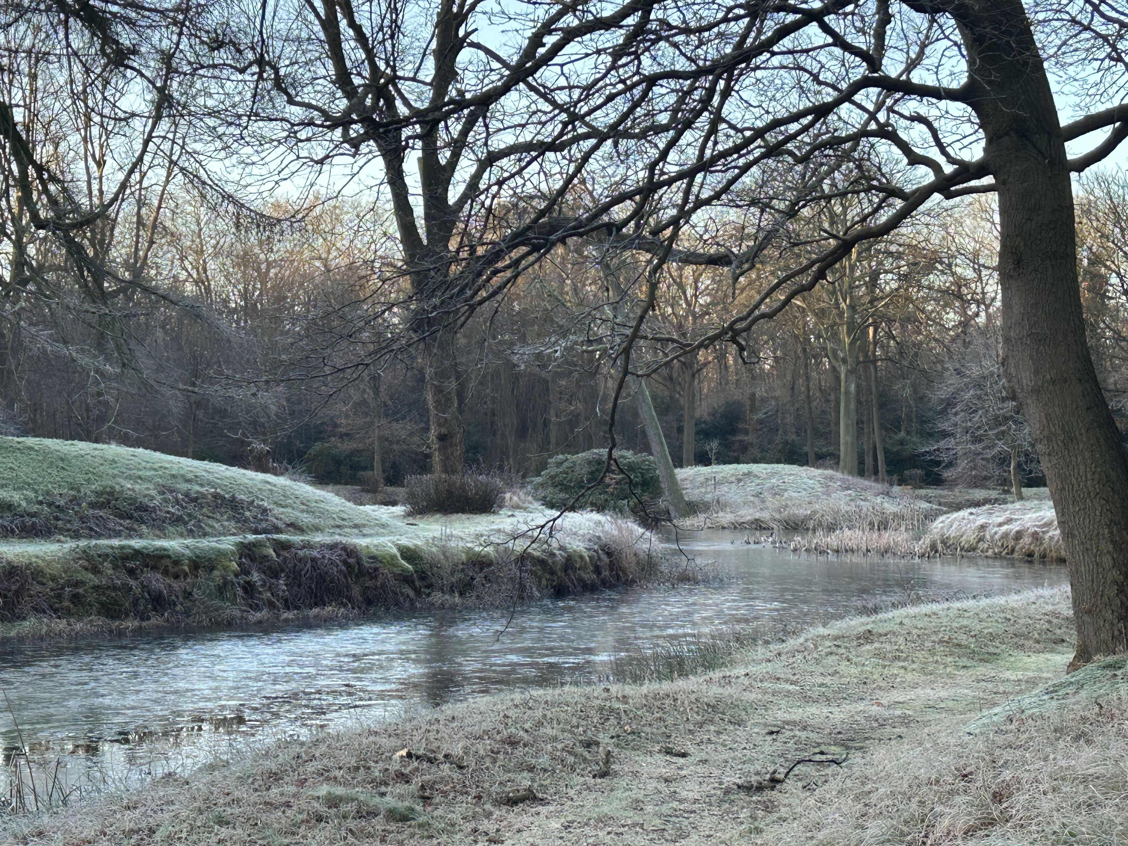 Omgeving