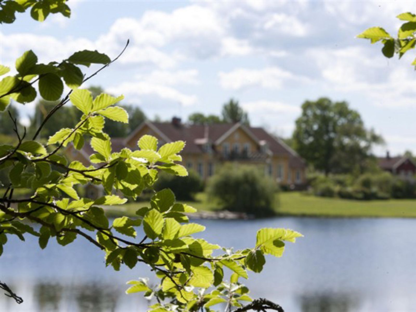 Omgeving