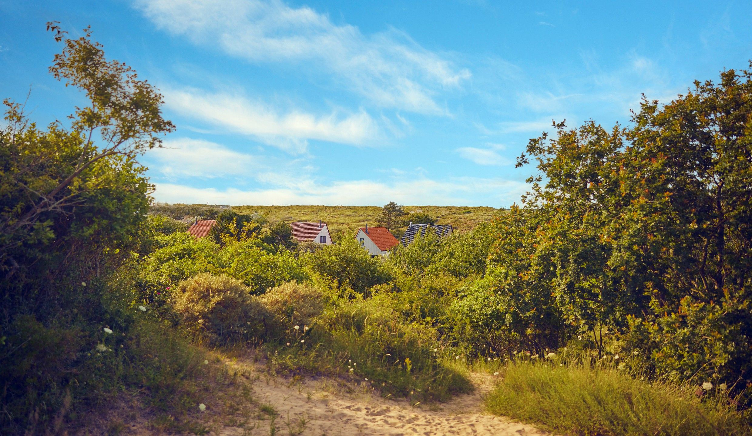 Omgeving