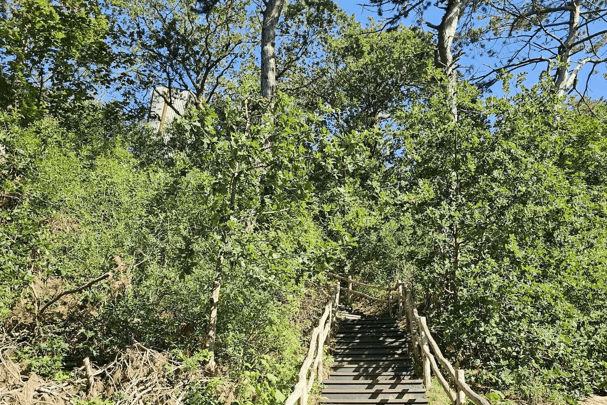 Omgeving