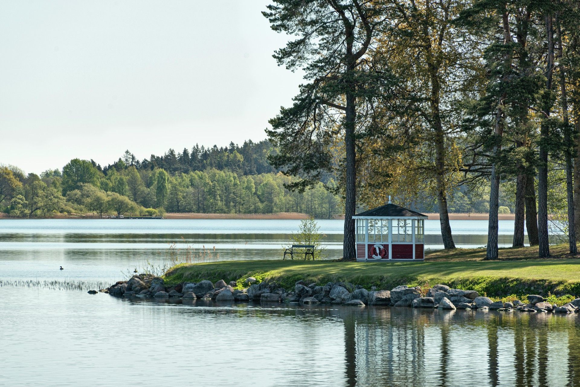 Omgeving