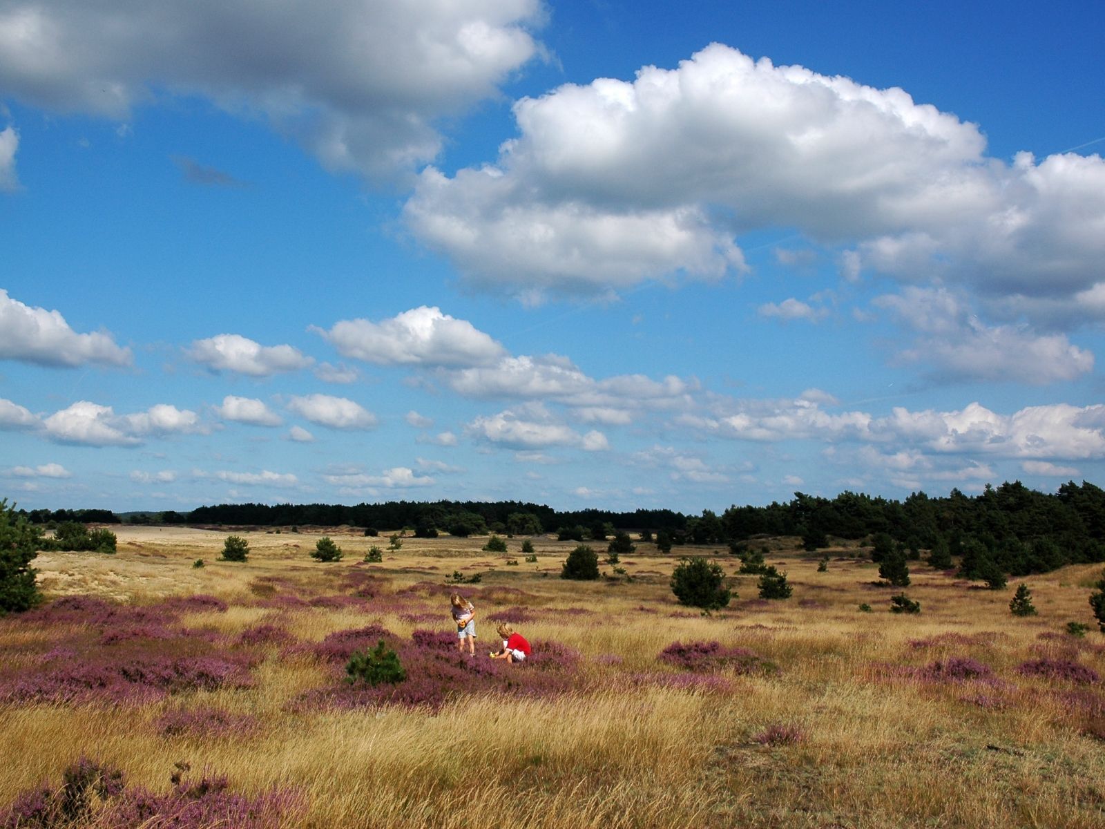 Omgeving