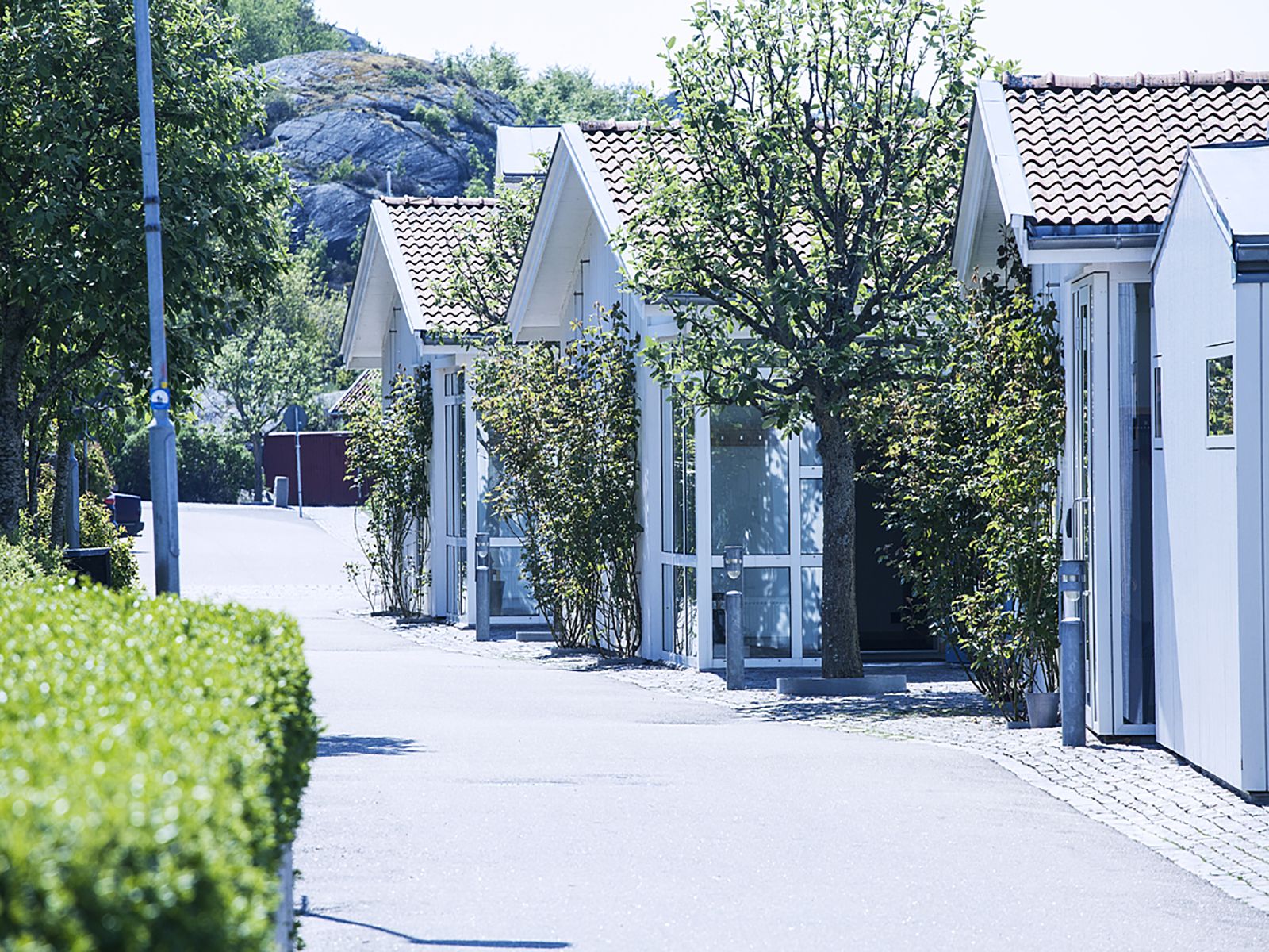Omgeving