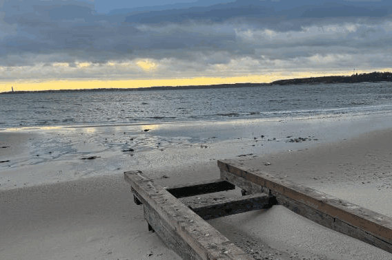 Omgeving