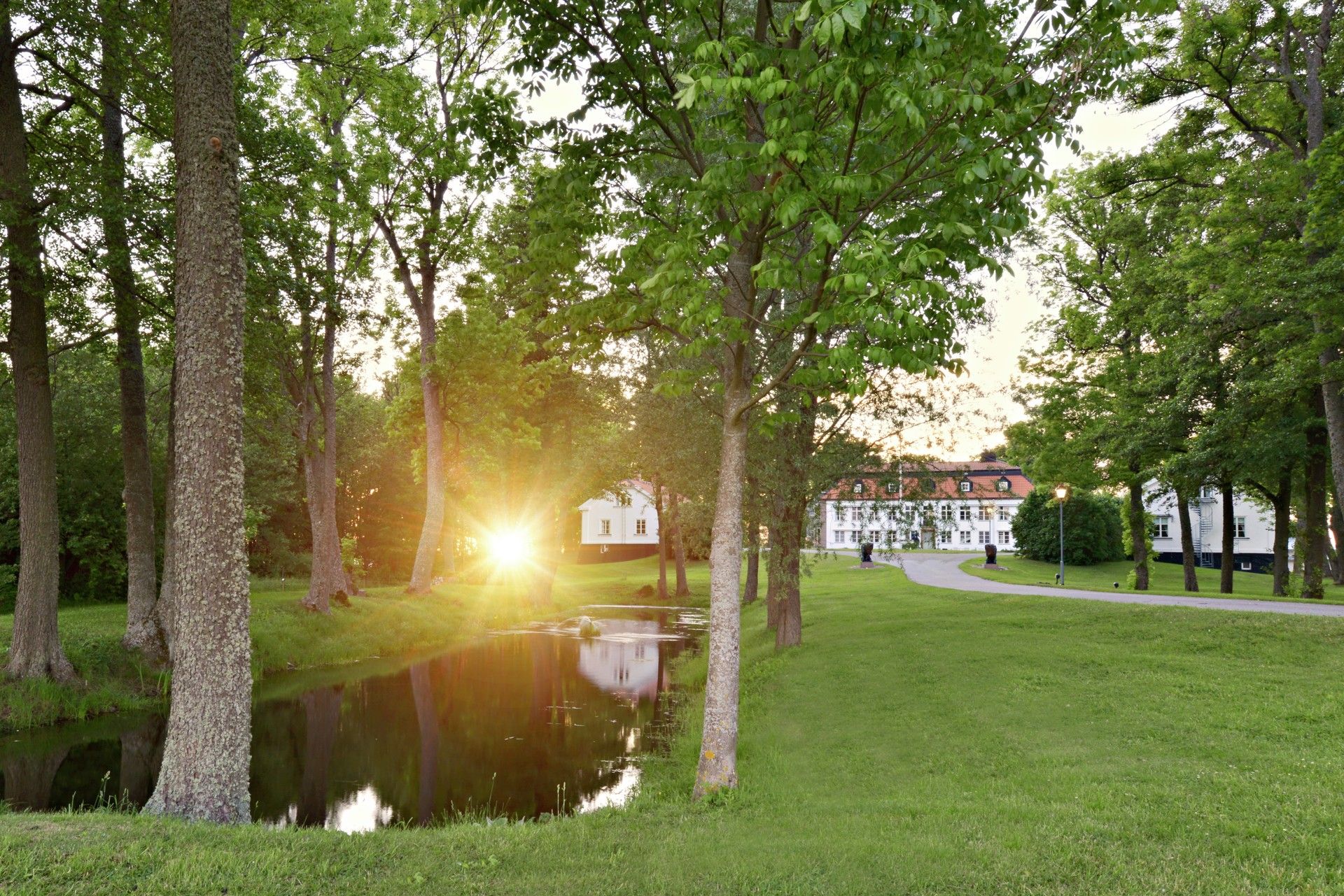 Omgeving
