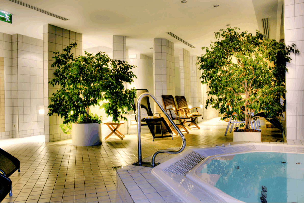 Wellness
