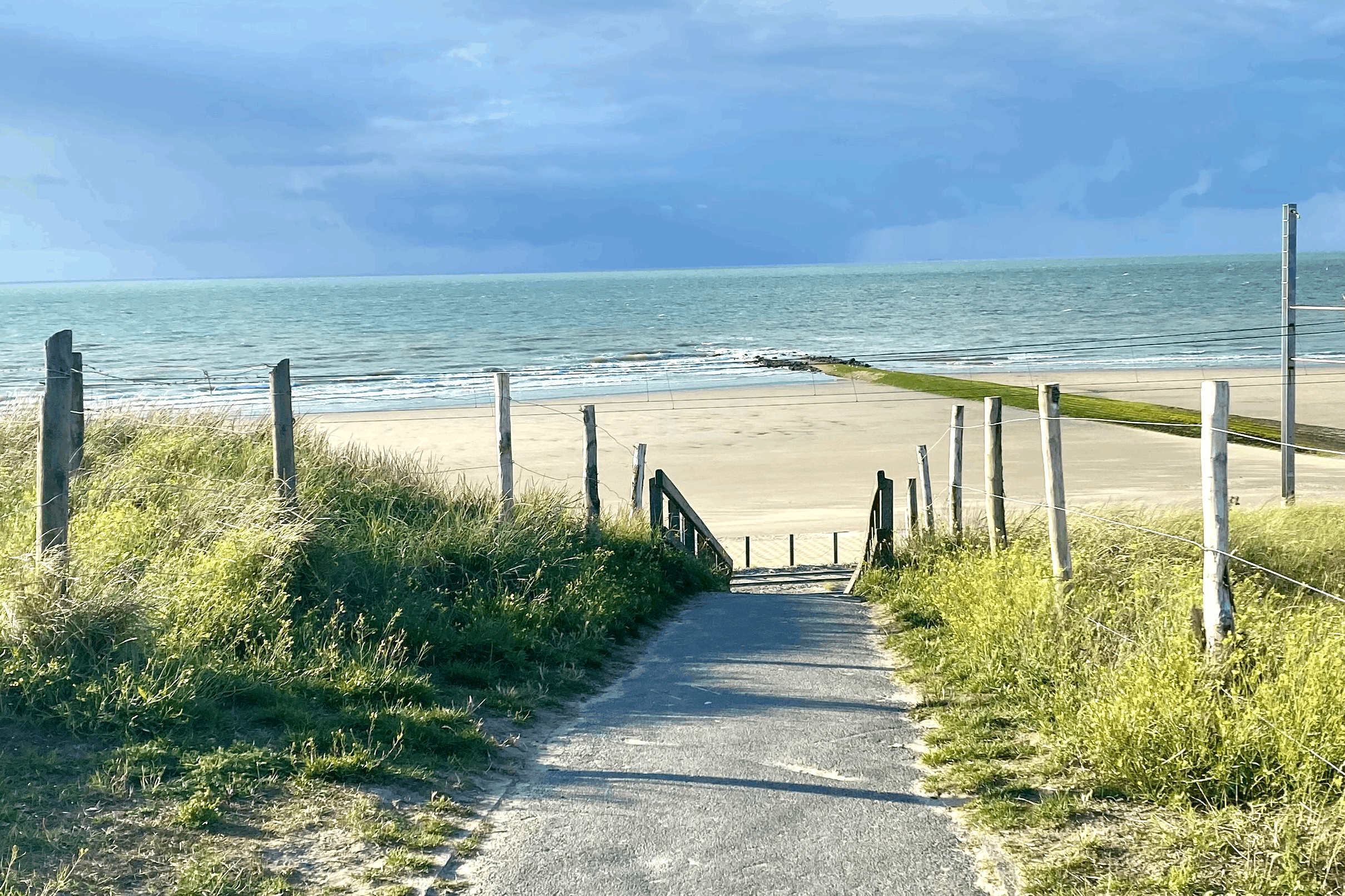 Omgeving