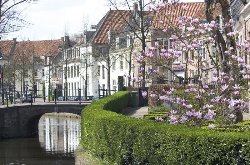 Omgeving