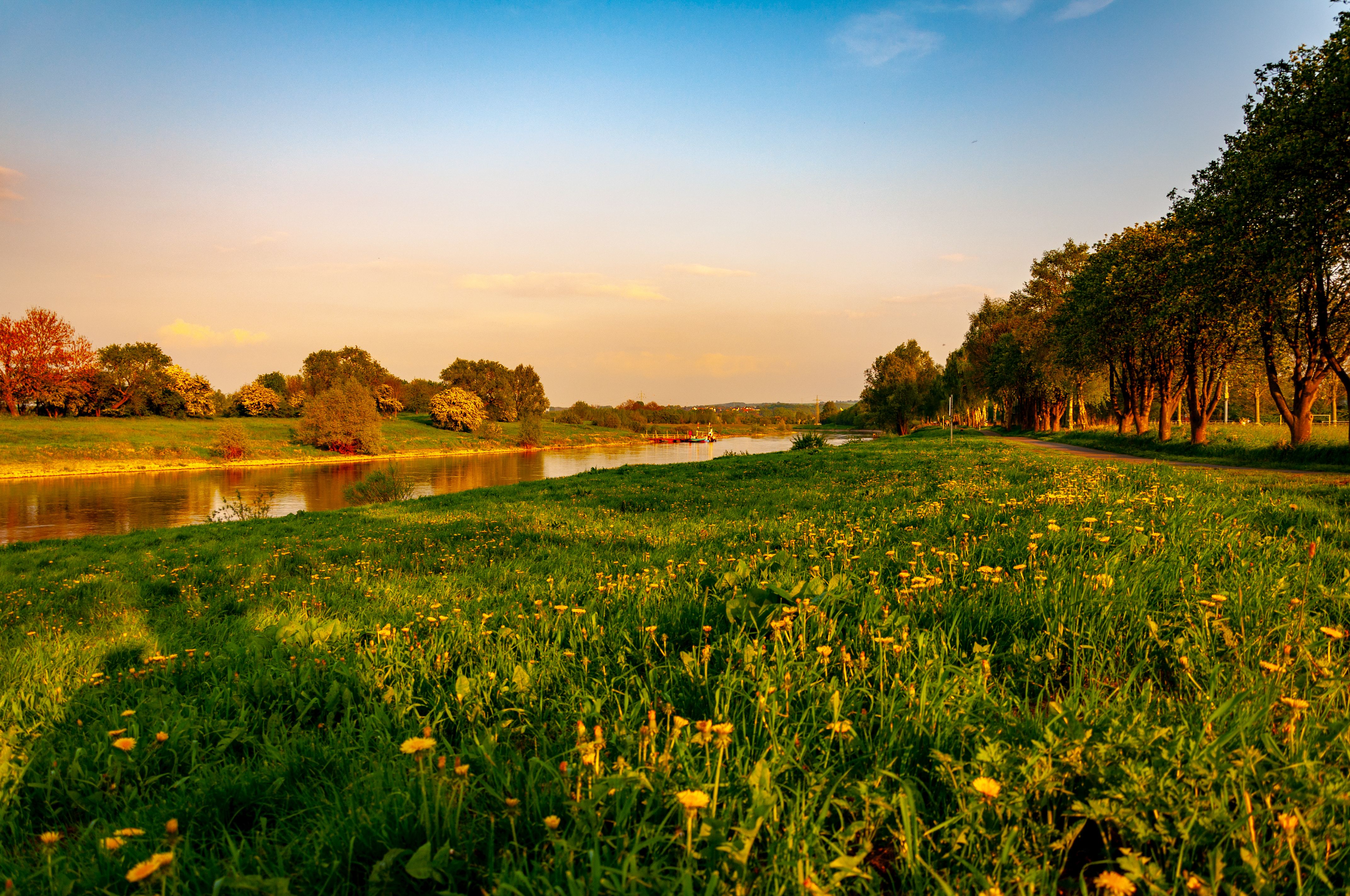 Omgeving