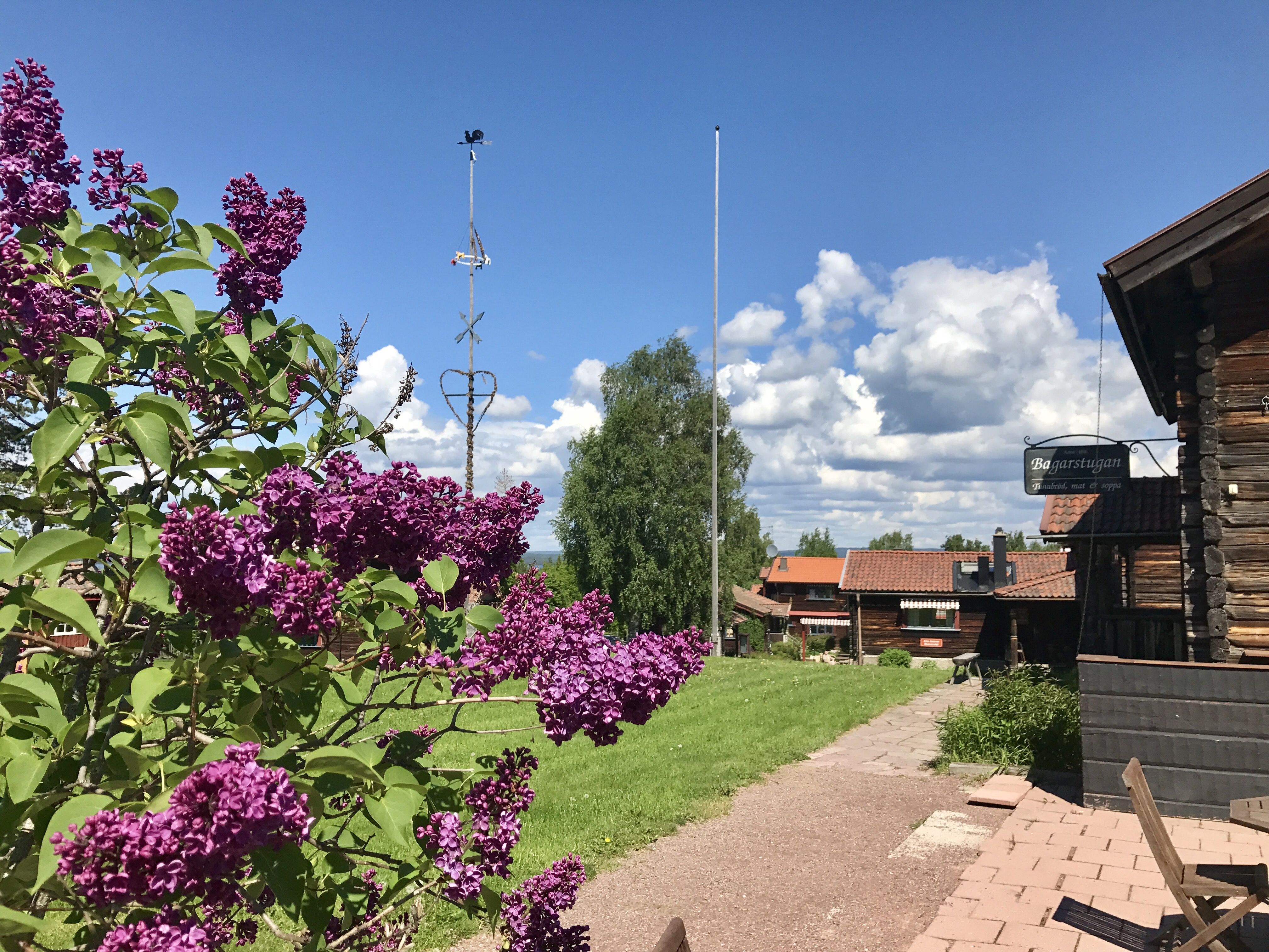 Omgeving