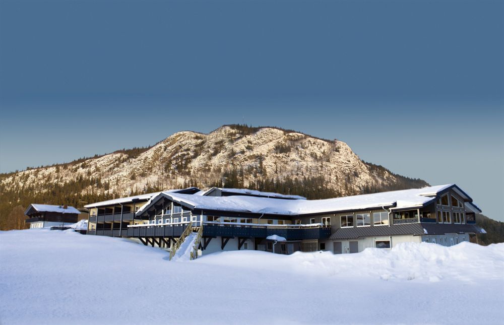 Omgeving