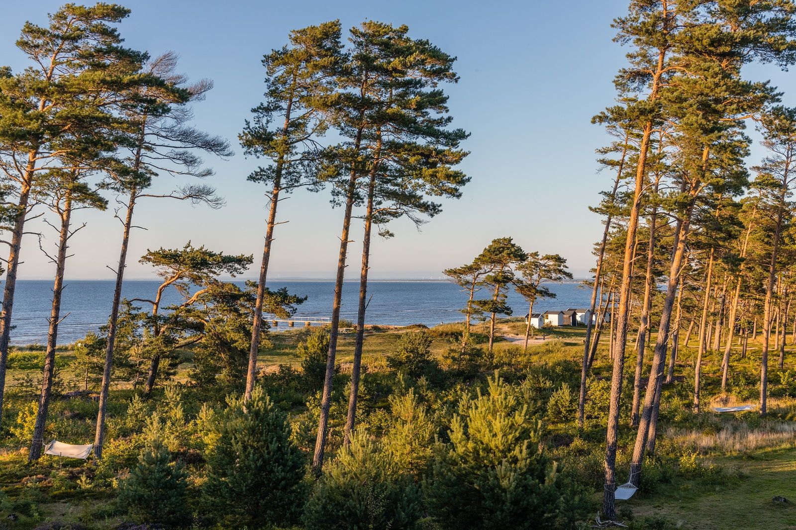 Omgeving