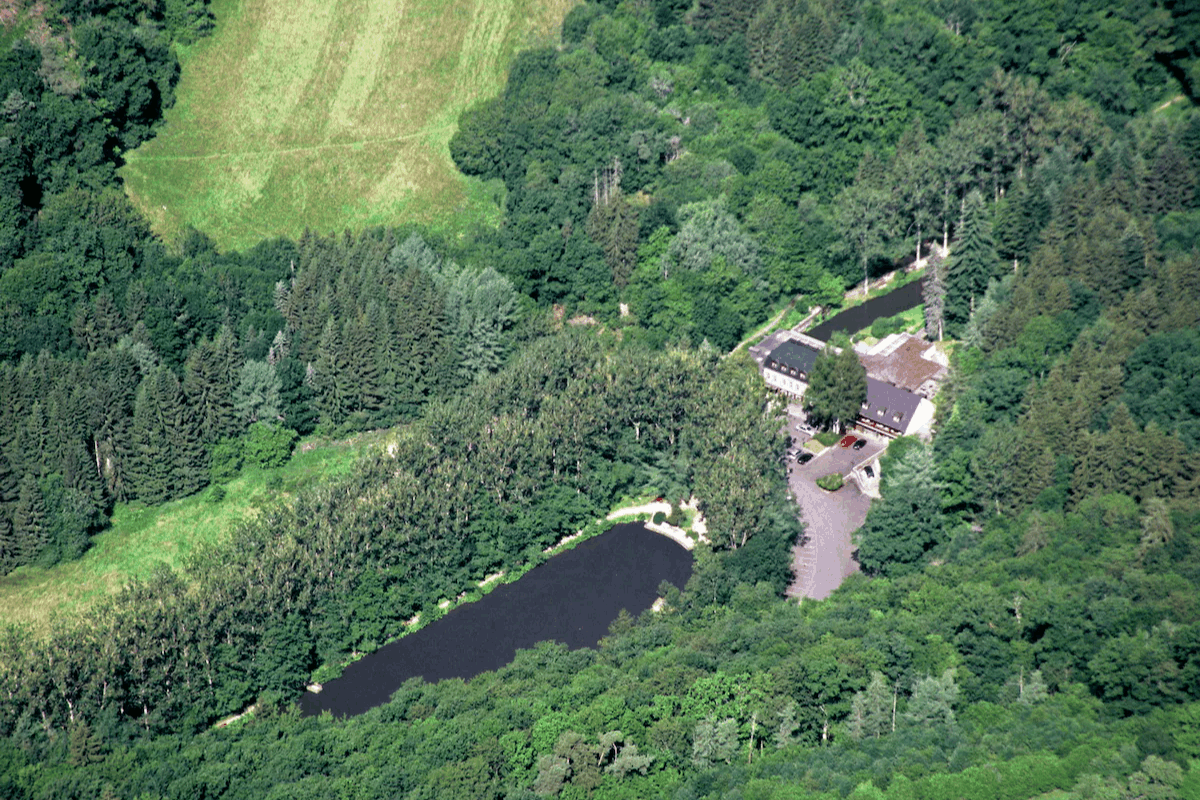 Omgeving