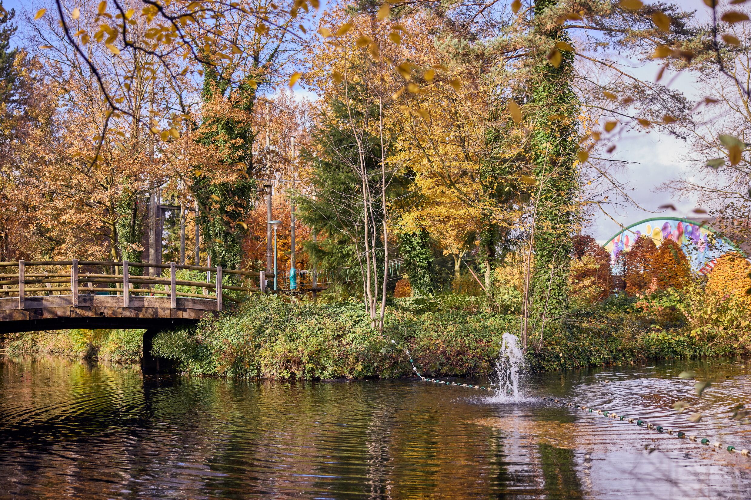 Omgeving