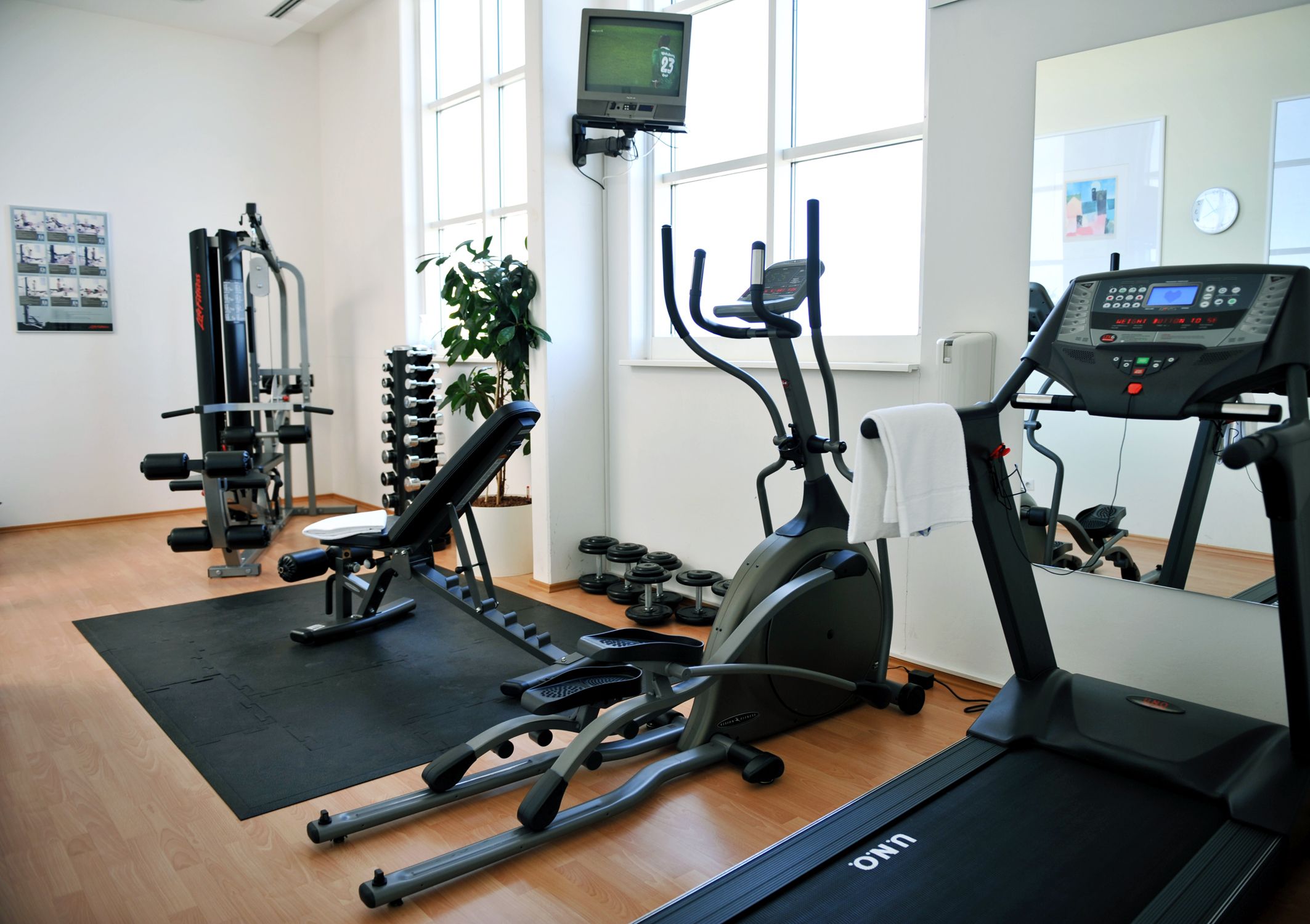 Wellness