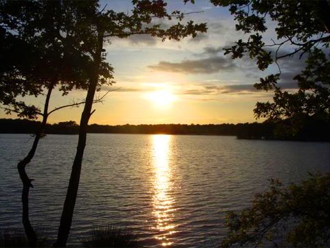 Omgeving