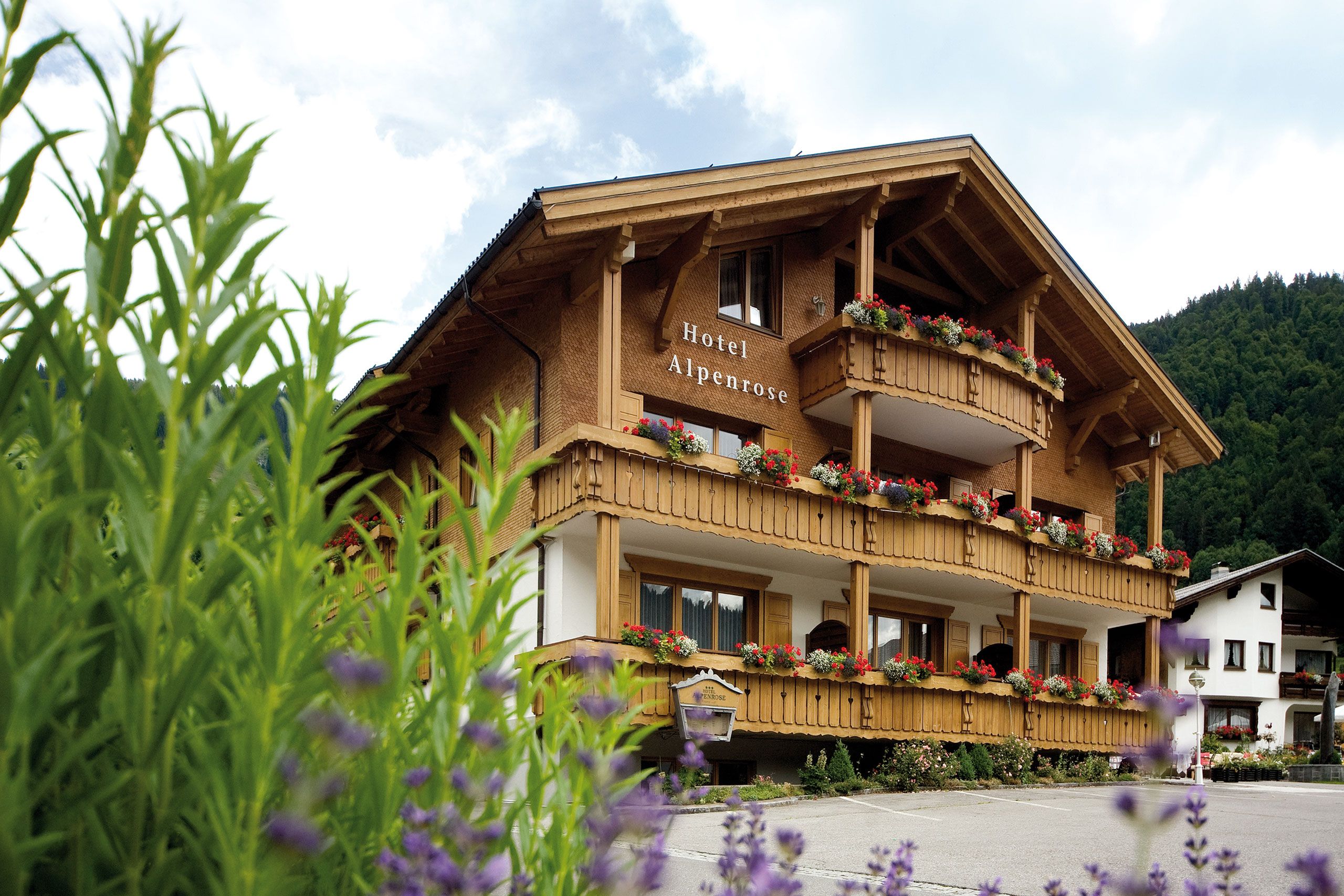accommodatie