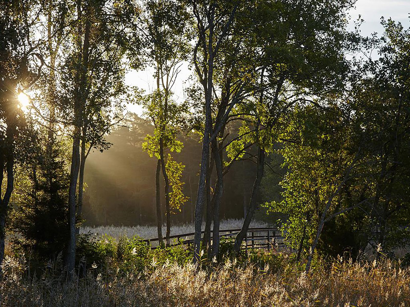 Omgeving