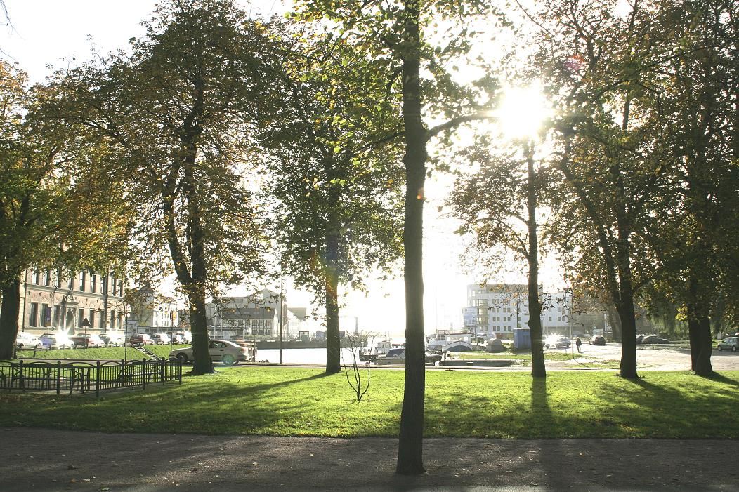 Omgeving