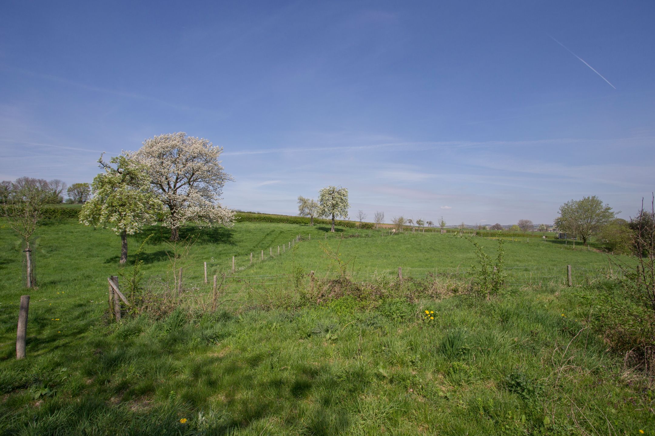 Omgeving
