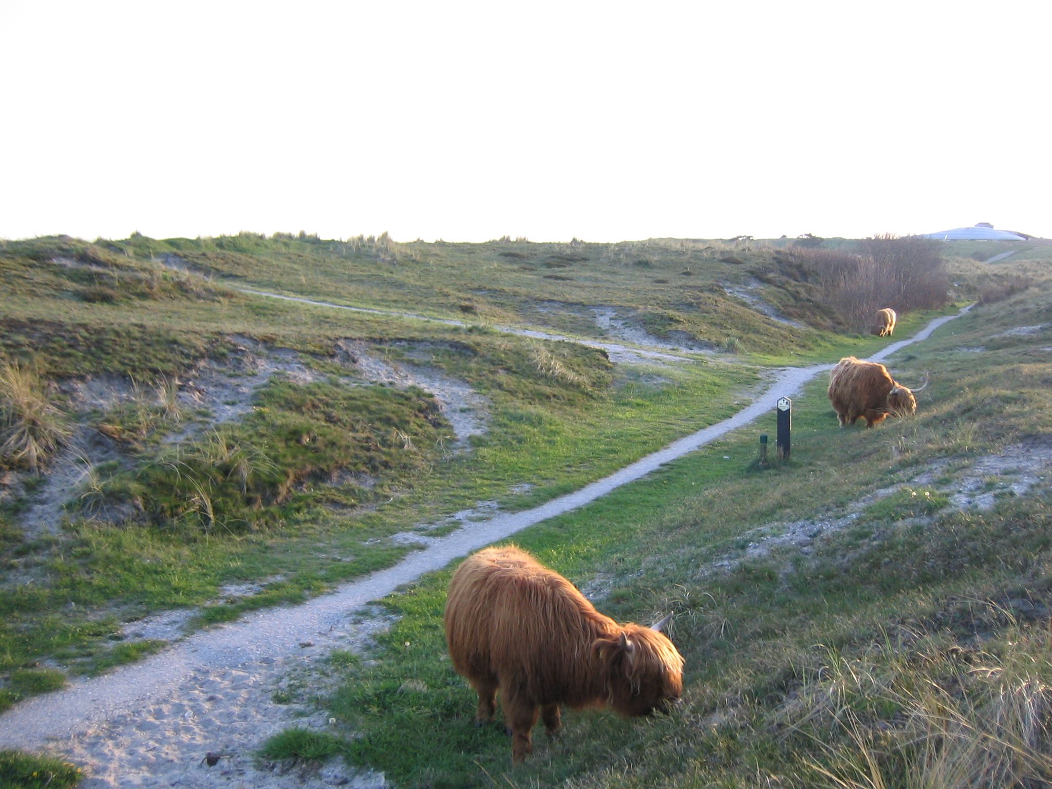 Omgeving