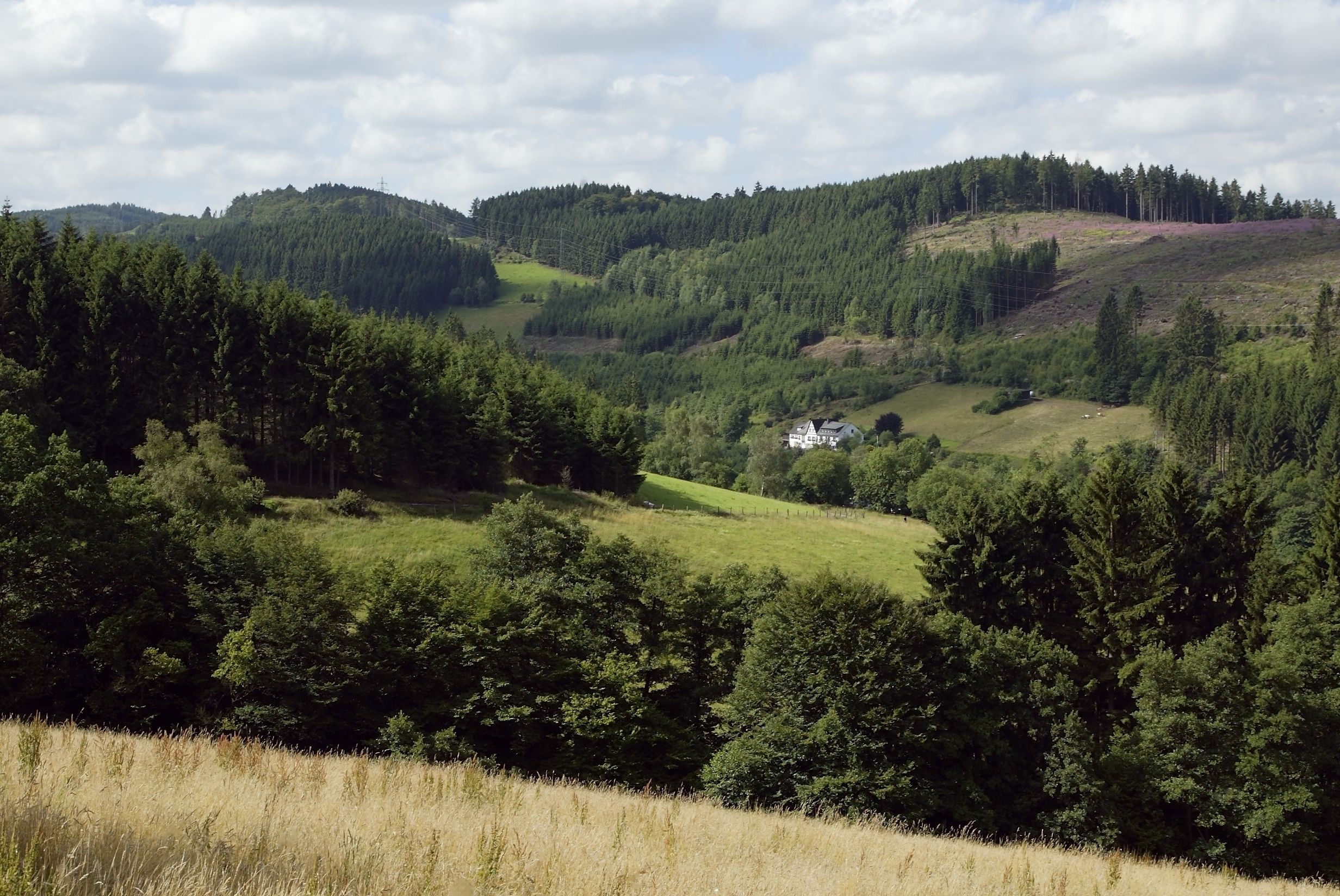 Omgeving