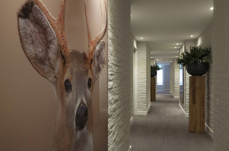 Hotel de Leijhof Oisterwijk in Oisterwijk de beste aanbiedingen! Hotel de Leijhof Oisterwijk in Oisterwijk de beste aanbiedingen!