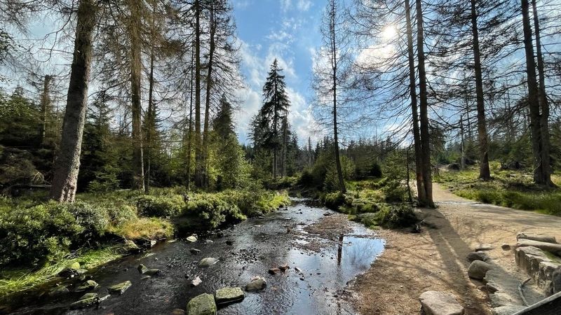 Omgeving