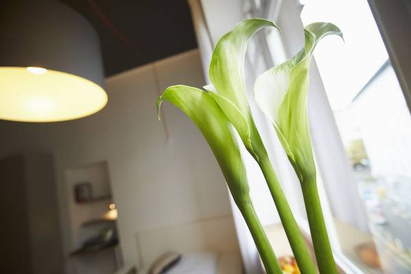 Aparthotel TU-TU - Comfort appartement, 1 tweepersoonsbed - GENERAL