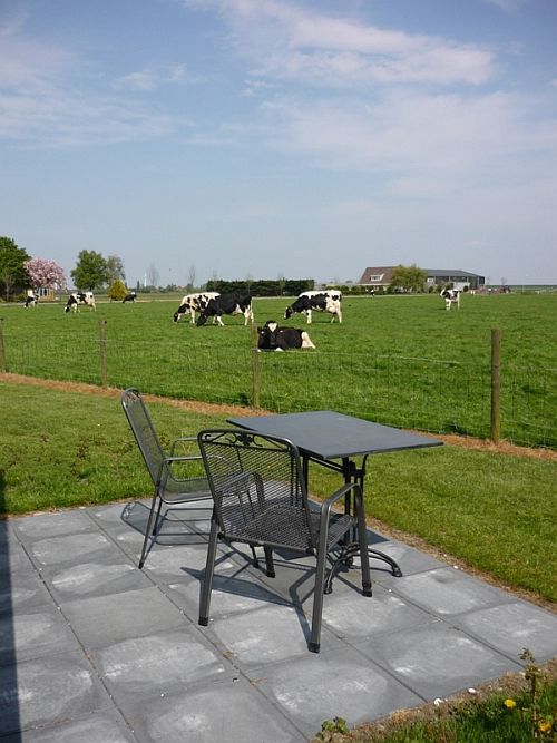 Omgeving