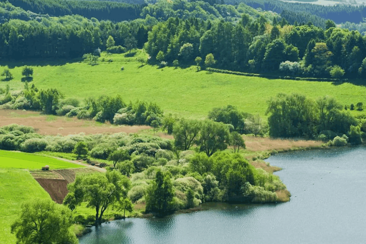 Omgeving