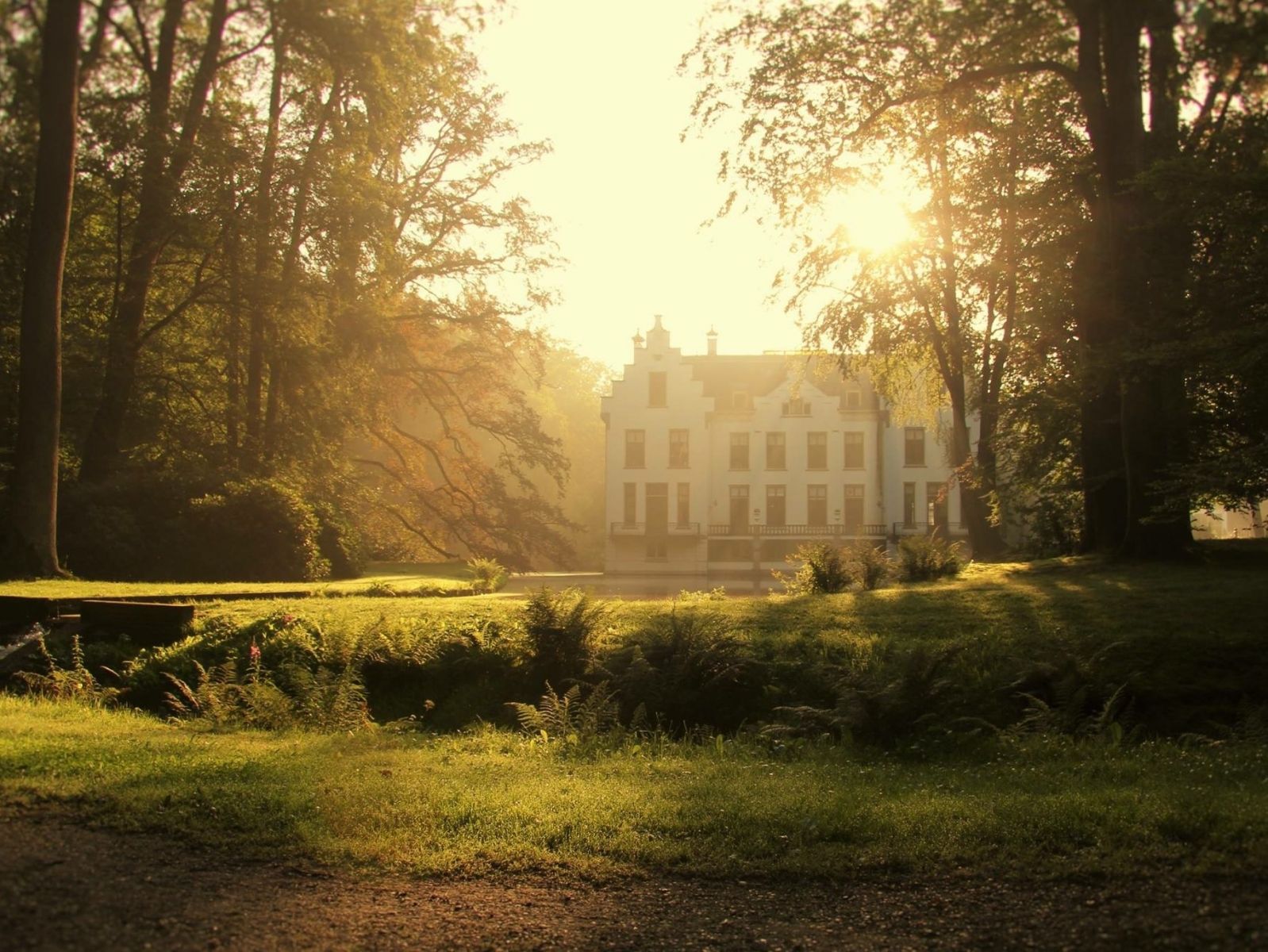 Omgeving